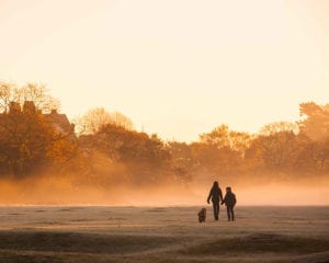 early morning walk on Wimbledon Common